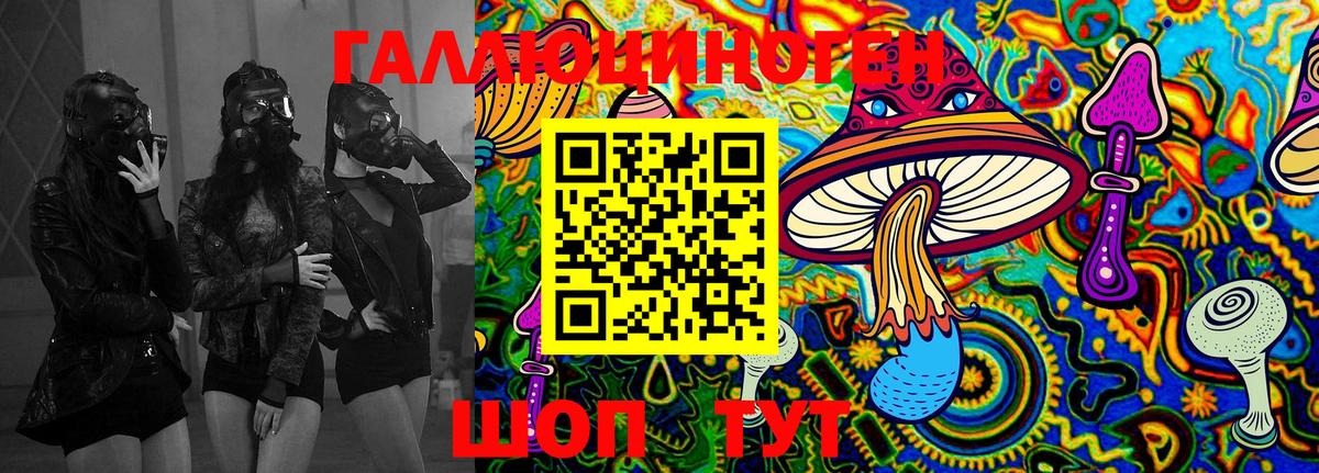 Галлюциногенные грибы Psilocybine cubensis  Вход с VPN  Тамбов  Галлюциногенные грибы прущие грибы 
