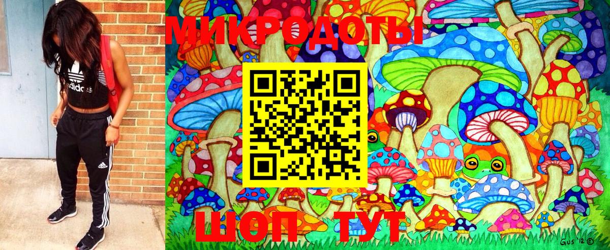 Псилоцибиновые грибы прущие грибы Тамбов